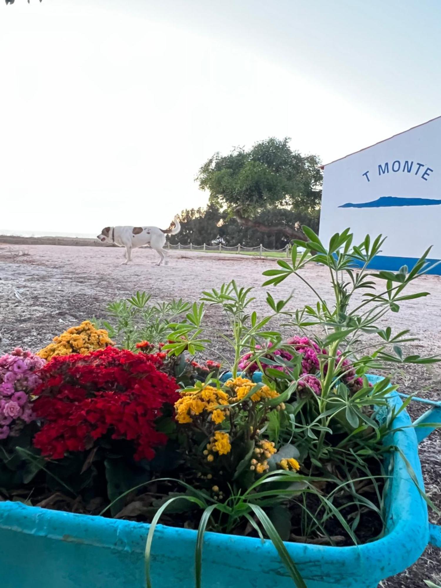 T Monte Villa Porto Covo Luaran gambar